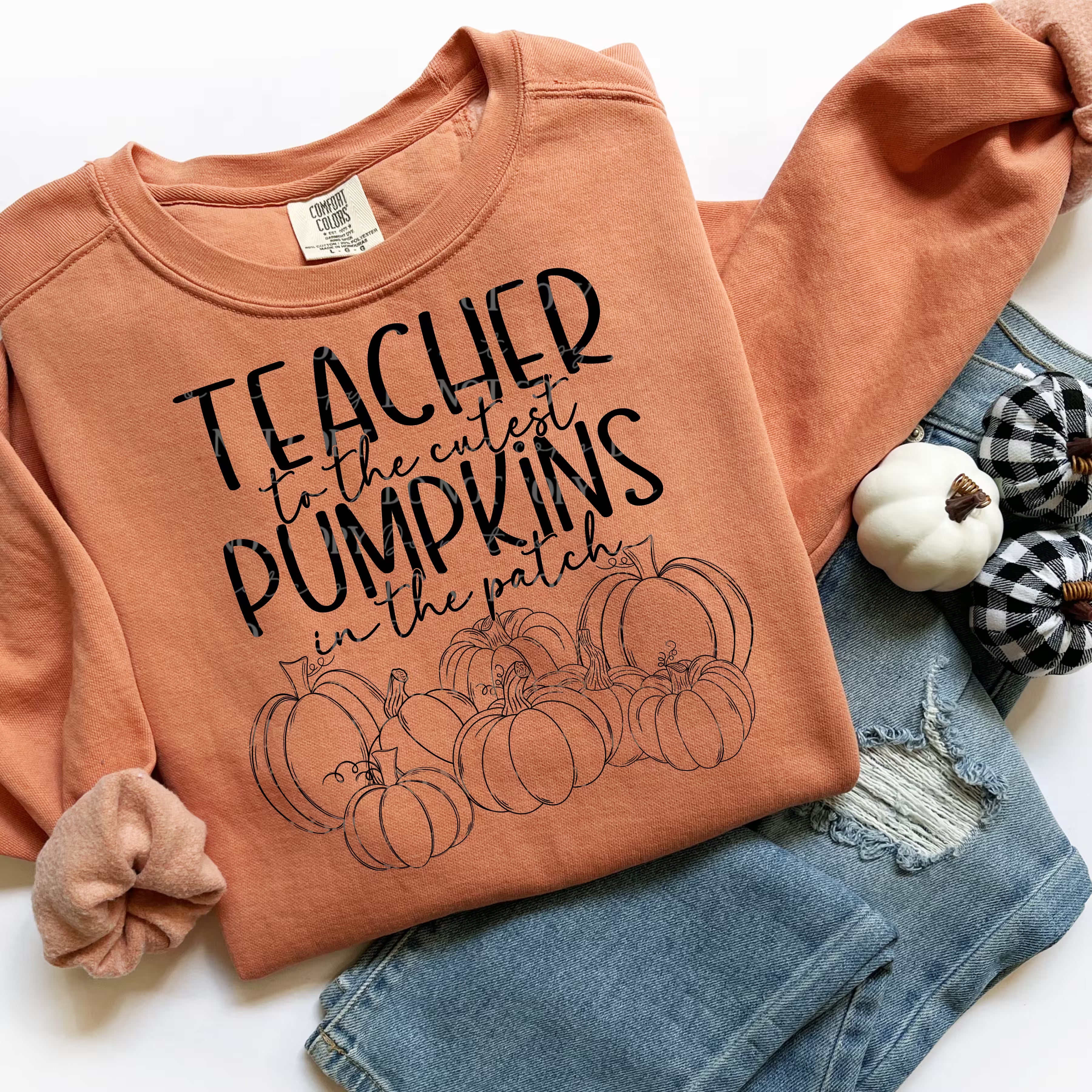 Teacher to the Cutest Pumpkins Sweatshirt