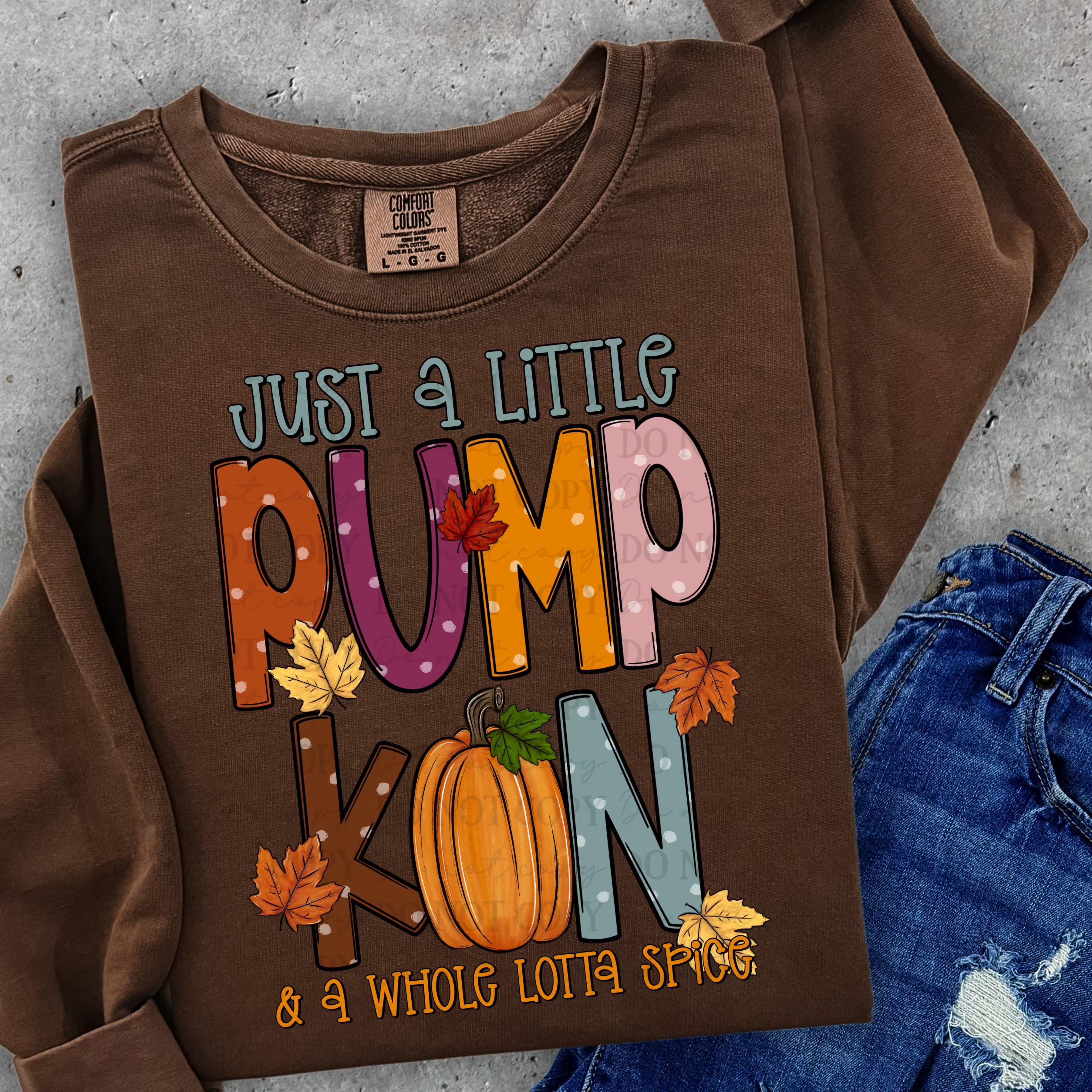 Just a Little Pumpkin & Whole A Lot Spice Sweatshirt