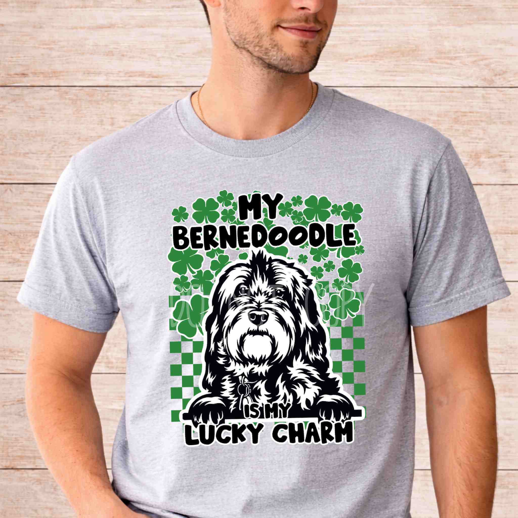 St Patricks Day dog lover shirt featuring a Bernedoodle with clovers and the phrase My Dog Is My Lucky Charm.
