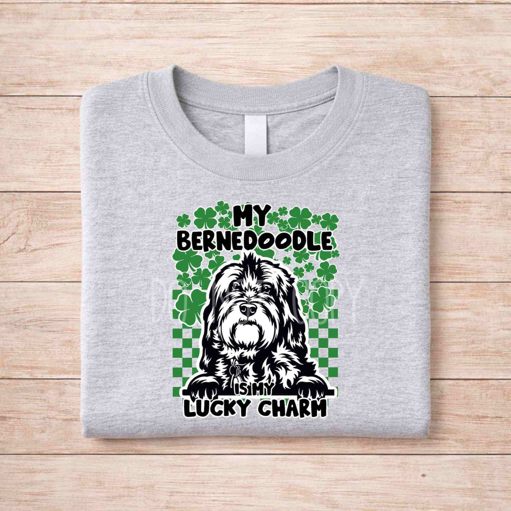 St Patricks Day dog lover shirt with the text My Bernedoodle Is My Lucky Charm and shamrock design on a gray background.