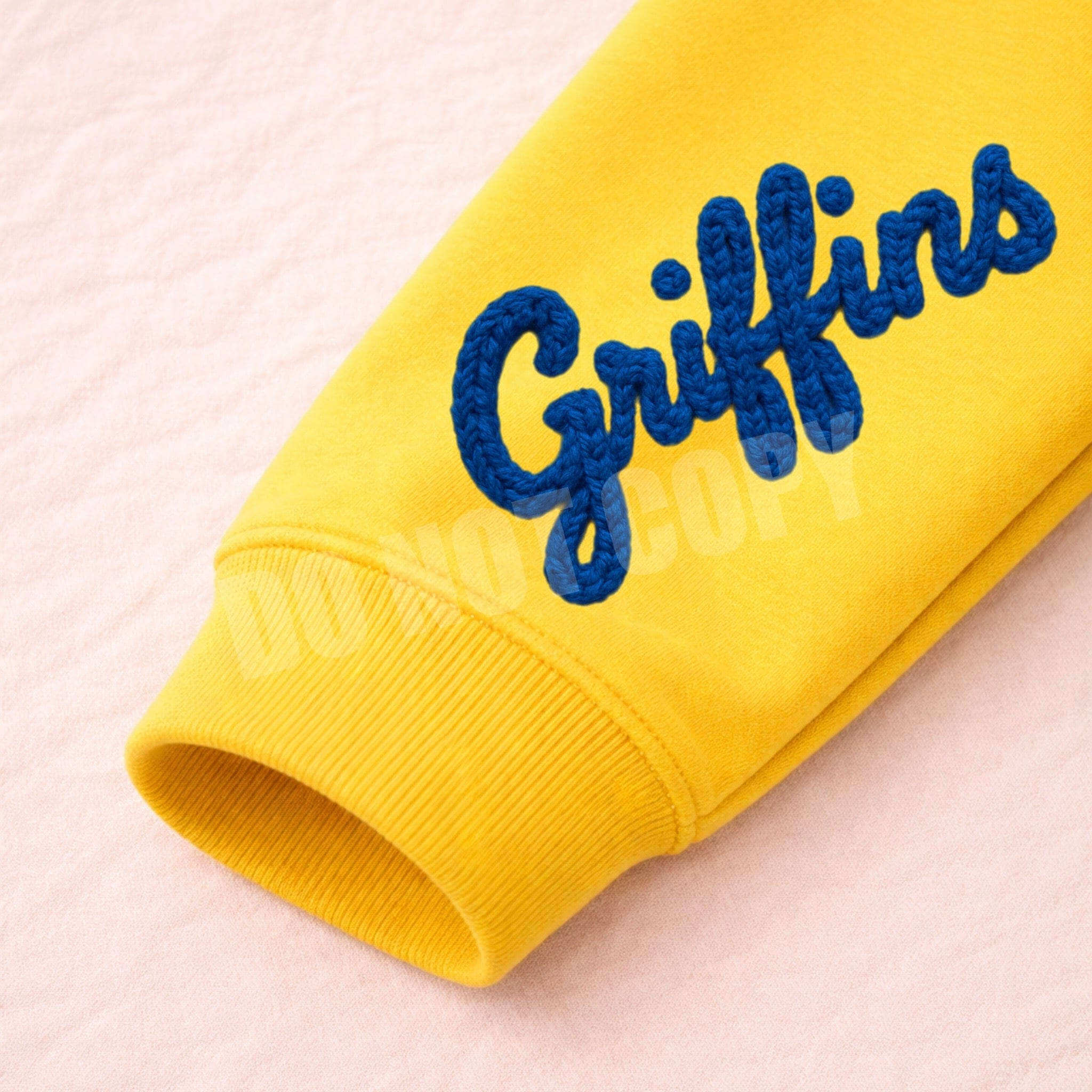 Youth Griffins House Sweatshirt